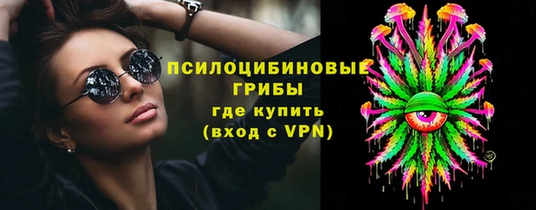 сатива Алексеевка