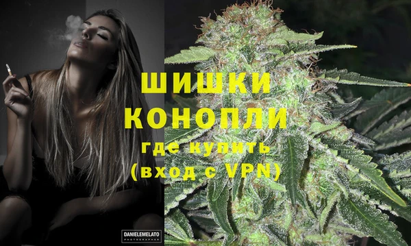бошки Алексин