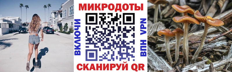 сколько стоит Катав-Ивановск Галлюциногенные грибы мухоморы