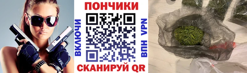 Каннабис планчик  закладка  Катав-Ивановск 